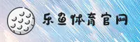 使用指南与常见问题